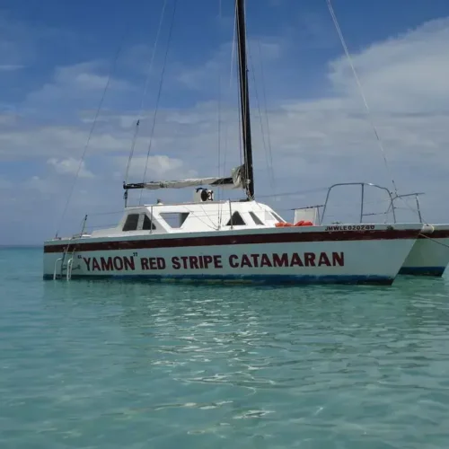 Excursión a las bellas playas de  Negril en el Catamarán Red Stripe