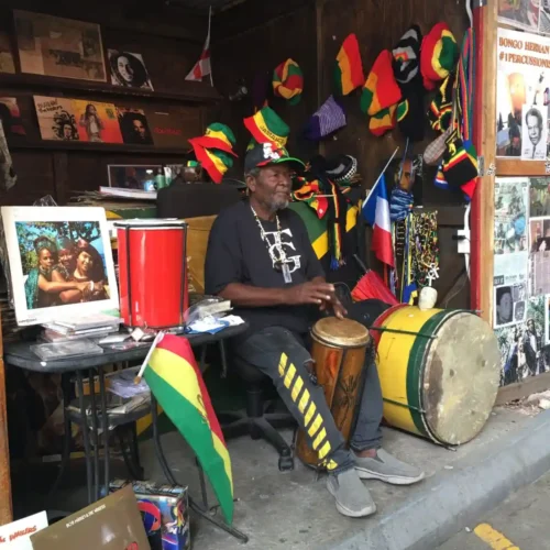 Museo Bob Marley y City Tour